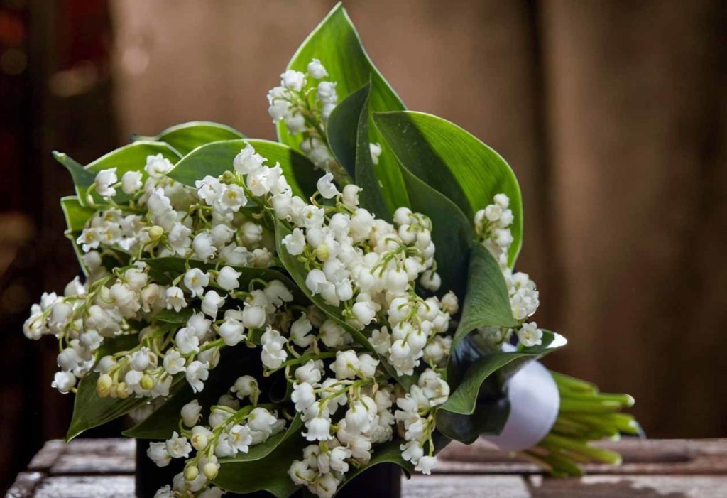 Sprigs of lily of the valley